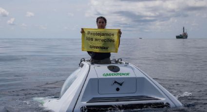 Ambientalistas urgen a la protección de arrecifes por la construcción de un gasoducto en Veracruz