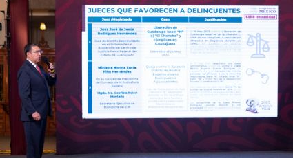 SSPC ataca a la ministra Norma Piña por desechar queja contra jueza encargada de un caso de desaparición