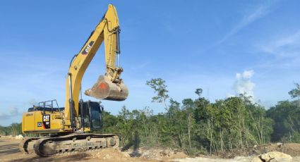 Gobierno de López Obrador expropia 119 hectáreas en Quintana Roo para el Tramo 7 del Tren Maya