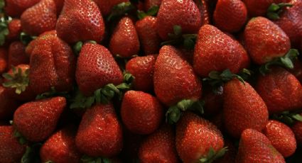 La FDA alerta por fresas congeladas importadas de Baja California relacionadas con brote de hepatitis A