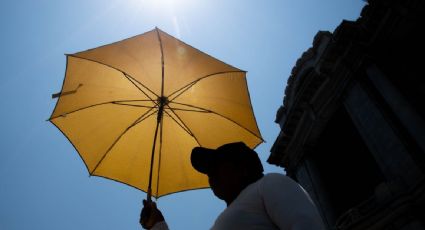 CFE garantiza el suministro pese a la alta demanda de electricidad por la ola de calor en el país