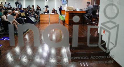 Julieta del Río critica que el Senado incumpliera con el nombramiento de dos comisionados del INAI: "El proceso fue una simulación"