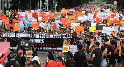 Miles protestan en la CDMX para exigir un alto a la violencia contra los animales y piden penas más severas