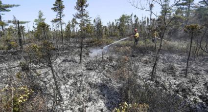 Biden ofrece ayuda a Trudeau para combatir incendios forestales en Canadá que afectan a EU