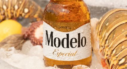 Modelo Especial hila dos meses como la cerveza más vendida en Estados Unidos y destrona a Bud Light
