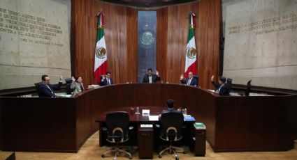 Tribunal Electoral rechaza petición de Morena para hacer "guardadito" con remanentes de su financiamiento público