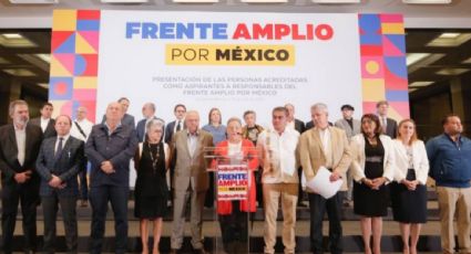 El INE autoriza el convenio para la formación del Frente Amplio opositor