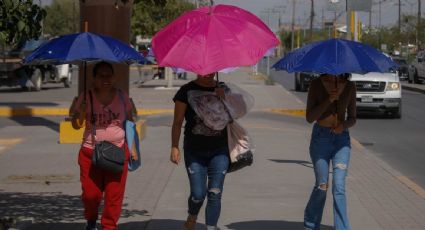 Aumentan a 167 las muertes por temperaturas extremas en el país; Nuevo León acumula el 48%