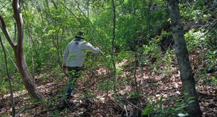 Autoridades de Morelos hacen nuevo hallazgo de restos humanos en Cuernavaca