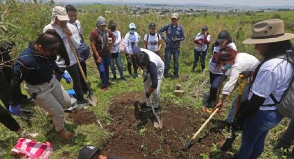 La ONU urge al gobierno a proteger a funcionarios que investigan desapariciones en Jalisco tras ataque con explosivos en Tlajomulco