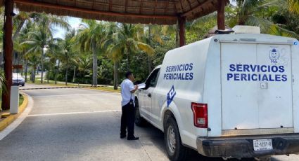 Asesinan a una persona en la zona hotelera de Cancún