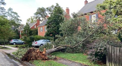 Fuertes tormentas y vientos dejan a 200 mil personas sin electricidad en Washington