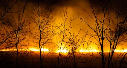 Ordenan la evacuación en una ciudad fronteriza de Canadá por incendio forestal que se extiende desde EU