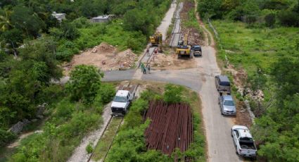 Organizaciones acusan deforestación sin permisos para el Tren Maya; “su información dista de lo oficial”, responde la Semarnat