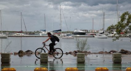 La tormenta tropical "Hilary" toca tierra en Baja California; advierten de fuertes lluvias en el estado