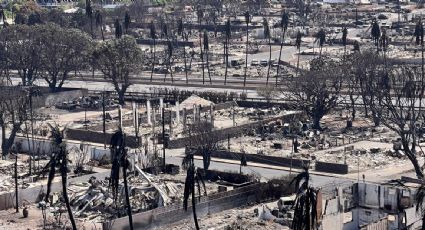 El condado de Maui demanda a compañías eléctricas señaladas como las causantes de los incendios en Hawaii