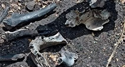 Colectivo localiza restos humanos calcinados en Reynosa