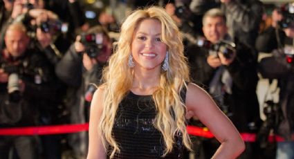 Shakira será la primera latina en recibir el "Video Vanguard Award" de MTV?