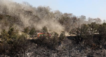 Un incendio forestal en Grecia destruye una superficie mayor a la que tiene la ciudad de Nueva York