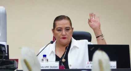 Guadalupe Taddei acudirá este lunes a Diputados para abordar el presupuesto del INE para 2024