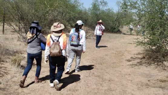 Tribunal desecha recurso de Presidencia contra freno a cambios en el registro de desaparecidos