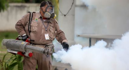 Veracruz ocupa el segundo lugar a nivel nacional en casos de dengue