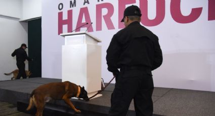 Implementan operativo de seguridad con binomios caninos previo a evento de García Harfuch