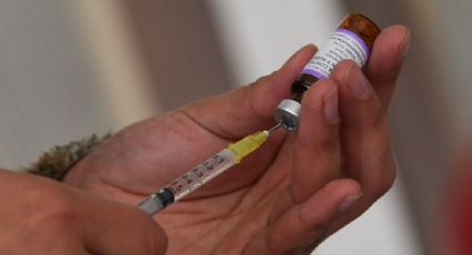 Sin vacunas contra la rabia: funcionarios dicen que la enfermedad ya no existe en México