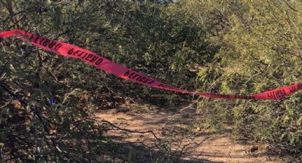 Madres buscadoras hallan al menos 30 fosas clandestinas en Sonora en dos días