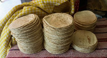 El precio de la harina de maíz para las tortillas no aumentará en 2024, promete López Obrador