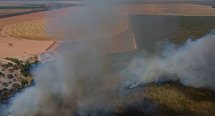 Los incendios forestales en Brasil destruyeron en 2023 el equivalente al territorio de Uruguay