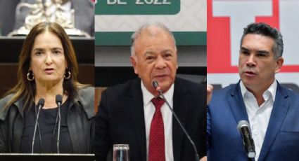 Patricia Armendáriz, Alberto Anaya y Alejandro Moreno, entre los diputados que menos asistieron