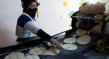 El gobierno de Sheinbaum buscará reducir en 10% el precio de la tortilla y lograr la autosuficiencia en maíz y frijol