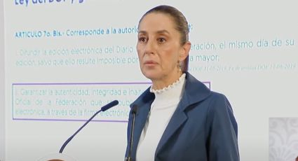 Sheinbaum pone en duda el criterio de la jueza Nancy Juárez: "¿La asesoran los ministros de SCJN?"