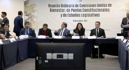 Avalan por unanimidad en comisiones apoyos sociales a personas con discapacidad, adultos mayores de 65 años y productores