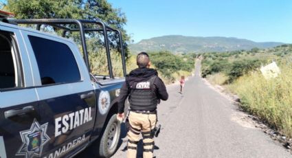 Lanzan explosivos desde una avioneta en el municipio de Vascogil, territorio de "El Mayo"