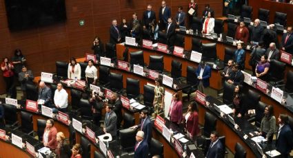 Senado aprueba reformas para pensiones de adultos mayores, personas con discapacidad y apoyos a productores