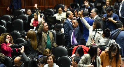 Diputados aprueban reforma que reconoce el transporte ferroviario de pasajeros y de carga como área prioritaria