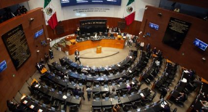 Senado aprueba reforma para garantizar que el aumento del salario mínimo no sea menor a la inflación