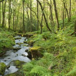 Siete destinos naturales de Europa con un encanto especial e inolvidable