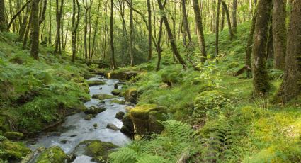 Siete destinos naturales de Europa con un encanto especial e inolvidable