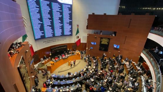 Artículo 19 acusa la expulsión del Senado de colectivos que protestaban por la designación de nueva titular de la CNDH