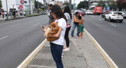 SSN reporta microsismo de magnitud 1.8 en la alcaldía Álvaro Obregón