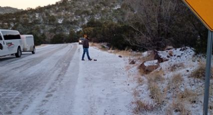 Llega la primera nevada a ocho municipios de Chihuahua; cierran carretera al norte de la entidad