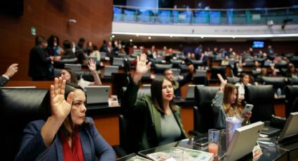 Senado declara constitucionales reformas de vivienda y pensiones a adultos mayores de 65 años