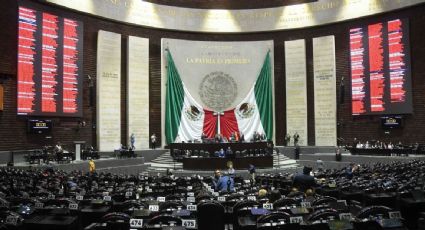 Cafeterías Nico Mollinedo: la Cámara de Diputados gastó más de 1.4 millones de pesos en café que compró a la sobrina del exchofer de AMLO