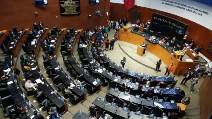 Senado acatará la disposición del Tribunal Electoral de continuar con el proceso de elección de aspirantes del PJF