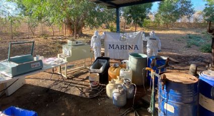 Aseguran un laboratorio de fentanilo en Sinaloa; había 250 litros de precursores