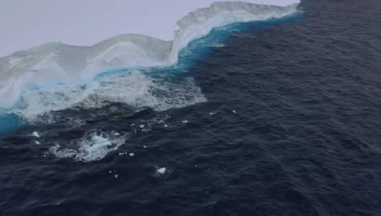 El iceberg más grande del mundo se desprende y navega a la deriva por el océano Antártico