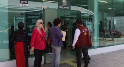 Oficializan en el DOF las reformas a las pensiones, vivienda y protección animal